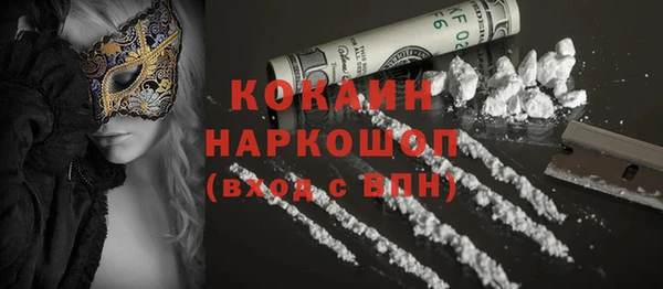 дурь Бородино