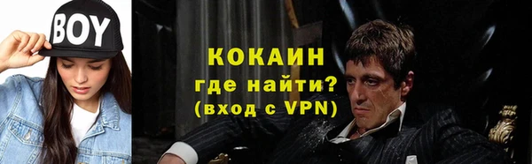 дурь Бородино