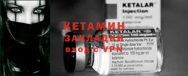 дурь Бородино