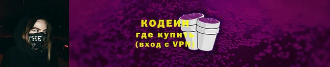дурь Бородино