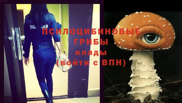 дурь Бородино