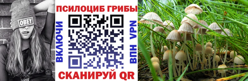 даркнет сайт  Нижневартовск  Галлюциногенные грибы ЛСД 